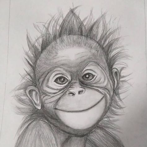 Below I’m sharing monkey pencil drawing ideas and references for everyone. That means no matter what your skill level, you’ll find the perfect monkey drawing for you. You'll also find chimpanzee and gorilla drawings too! Monkey Sketch Easy, Monkey Drawings Easy, Giraffe Pen Drawing, Monkey Painting Easy, How To Draw A Monkey, Hard Drawing Ideas Sketch, Baby Monkey Drawing, Drawings Of Monkeys, Monkey Drawing Sketch