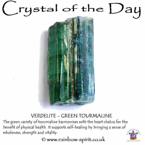 Verdelite  Green Tourmaline Tourmaline Meaning, Crystal Seashells, Green Tourmaline Crystal, Positive Vibrations, Crystal Power, Crystal Guide, Crystals Healing Properties, Spiritual Crystals, Gemstone Meanings