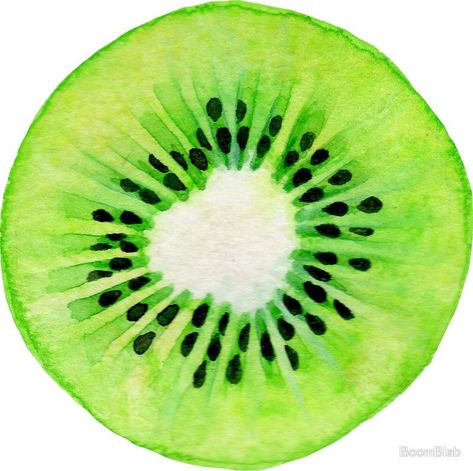 Kiwi fruit, food print Fruit Art Drawings, Fruits Drawing, Watercolor Fruit, Fruit Food, Maid Sama, Fruit Painting, Kiwi Fruit, Fruit Art, Noragami