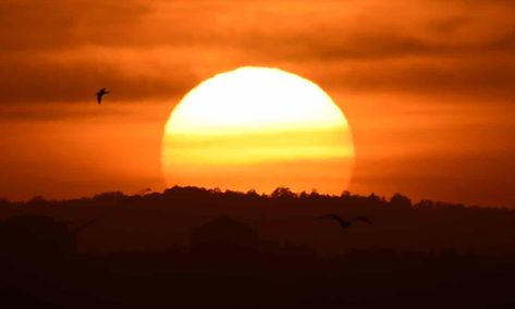 Temperatures expected to hit 40C in NSW and Queensland heatwave Temperature Aesthetic, Australia Weather, Hot Temperature, Nature Tourism, Coral Bleaching, Dark Summer, Emotional Response, Australia Vacation, Airlie Beach