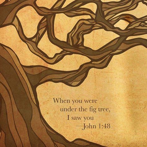 When you were under the fig tree, I saw you... Fig Quotes, Tree Bible Verse, The Fig Tree, Tree Quotes, Hebrew Lessons, Comforting Bible Verses, The Turning, Christian Bible Quotes, Jesus Is Life