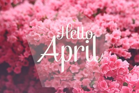 Happy April Quotes, Happy Birthday April, April Images, March Images, April Quotes, Wallpaper For Facebook, July Images, Hello January, April Birth Flower