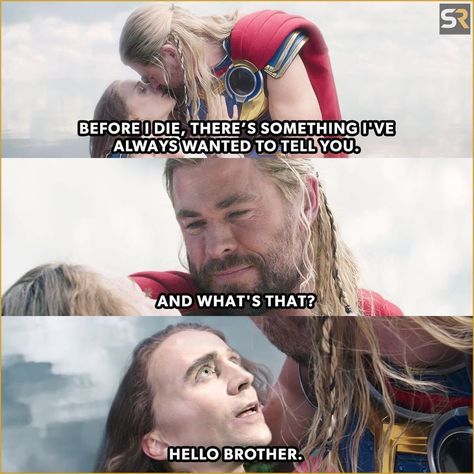 Thor Meme, Loki Meme, Marvel Comics Funny, Funny Marvel Memes, Dark Romance Books, Marvel Avengers Funny, Dc Memes, Avengers Memes, Funny Images Laughter