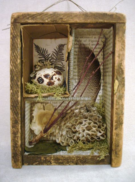 Timmy Time, Joseph Cornell, 3d Collage, Nature Projects, Deco Nature, Shadow Box Art, Nature Collection, Assemblage Art, So Funny