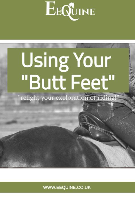 Horse Education, Western Dressage, Centered Riding, Riding Exercises, Dressage Exercises, Horseback Riding Tips, Horse Breeding, Dressage Training, Riding Tips