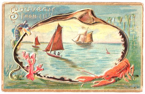 Plush Possum Studio: Antique Postcard: Seaside Sunset Over the Water Sea Artwork, Coral Art, Vintage Valentine Cards, Art Journal Therapy, Vintage Mermaid, Nautical Art, Seashell Art, Antique Postcard, Vintage Artwork