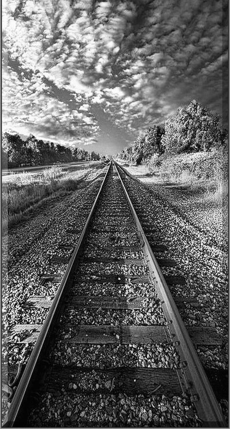 Depth Of Field Photography, Deep Depth Of Field, Nature Photography Tips, Train Pictures, Fields Photography, The Way Home, Dark Photography, Depth Of Field, Black White Photos