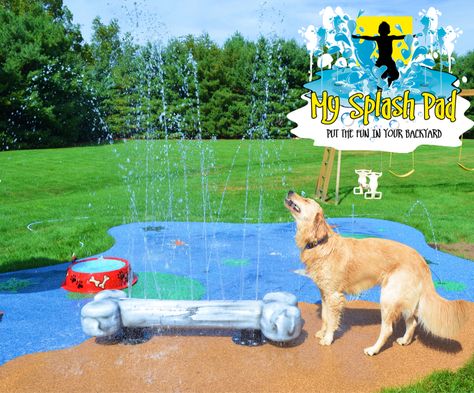 Captain loves the Dog Bone feature for this splash pad. A splash pad does not have to be for children, a dog can keep cool and hydrated with a backyard water park. Backyard Dog Playground, Backyard Water Parks, Dog Backyard, Dog Kennel Designs, Water Playground, Dog Hotel, Splash Park, Dog Yard, Dog Playground