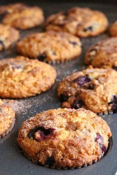 Blueberry Muffin Recipes, Oatmeal Raisin Muffins, Quick Oat Recipes, Blueberry Oat Muffins, Oat Biscuits, Oatmeal Muffin Recipes, Raisin Muffins, Blueberry Oatmeal Muffins, Easy Blueberry Muffins