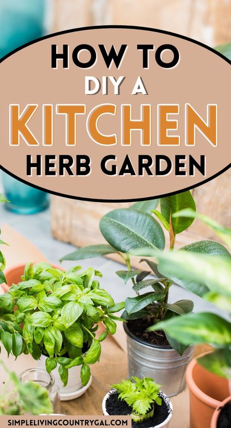 Diy Garden Window, Kitchen With No Window, Growing Herbs In Water, Garden Window Kitchen, Simple Diy Kitchen, Kitchen Window Herb Garden, Growing Herbs Outdoors, Herbs In Water, Make Your Own Kitchen