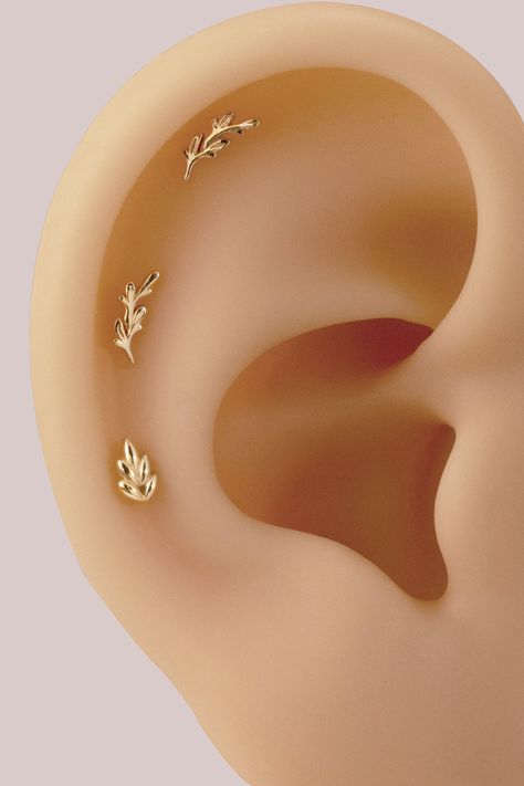 14K Solid Gold Olive Leaf Stud Earring Branch Cartilage Earring Tiny Leaves Helix Stud Conch Earring Leaf Tragus Stud Flat Back Earring - Etsy Helix Leaf Earring, Cute Flat Back Earrings, Dainty Tragus Piercing, Helix Piercing Jewelry Studs, Midi Helix Piercing, Flat Piercing Ideas, Conch Piercing Stud, Gold Helix Earrings, Earring Stacks