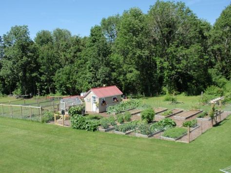 Click this image to show the full-size version. Chicken Coop Garden, Chicken Coop Decor, Backyard Garden Layout, Vegetable Garden Raised Beds, Chicken Run, Chicken Coop Designs, Home Grown Vegetables, Chicken Garden, Building A Chicken Coop