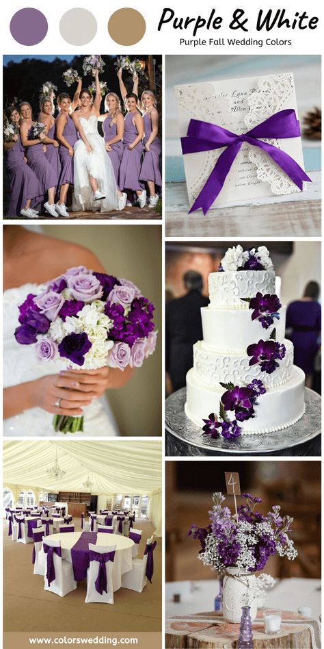 Purple White Wedding Theme, Silver Purple Wedding Theme, Purple Wedding Theme Table Decorations, Purple Flowers Wedding Cake, Purple And Gray Wedding Decorations, Purple And White Wedding Theme, Wedding Color Palette Purple, White And Purple Wedding Dress, Purple And White Wedding Cake