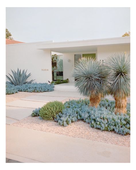 Palm Springs Landscape Design, Modern Southwest Landscaping, Desert Scape Landscaping Ideas, Modern Cactus Landscaping, Palm Springs Yard, Front Yard Landscaping Australian Modern, Desert Modern Living Room, Cactus Landscaping Front Yards, Arizona Front Yard Landscaping