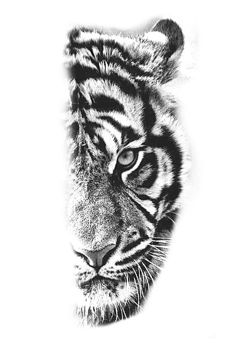 Half Tiger Tattoo, Tiger Tattoo Stencil, Tigres Tattoo, Geometric Tiger Tattoo, White Tiger Tattoo, Tiger Eyes Tattoo, Tiger Face Tattoo, Tiger Head Tattoo, Geometric Tiger