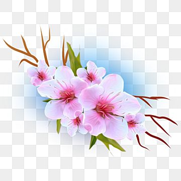 peach blossom,sakura,cherry blossom,blossom,pink,flower,sakura petals,cherry tree,pink flower,hand painted,petal,peach blossom branch,cherry flowers,flowers Cherry Blossom Png, Sakura Petals, Flower Sakura, Cherry Flowers, Cherry Blossom Watercolor, Download Festival, Blossom Branch, Fall Banner, Ribbon Banner