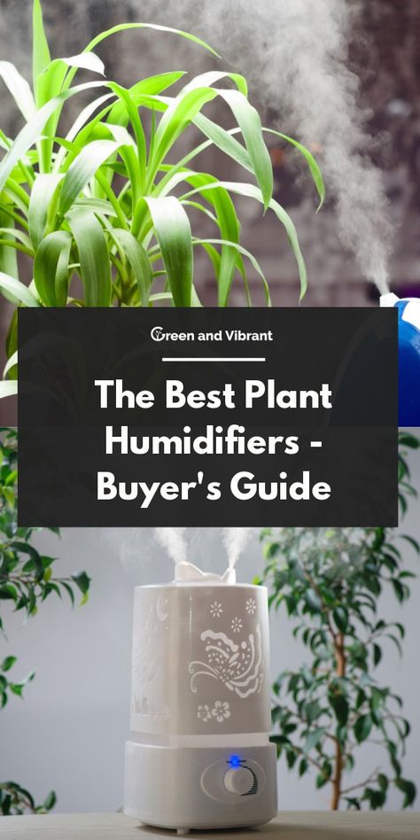 Humidifier For Plants, Indoor Gardening Supplies, Small Humidifier, Best Humidifier, Indoor Greenhouse, Smart Garden, Healthy Shopping, Indoor Gardens, Humidifiers