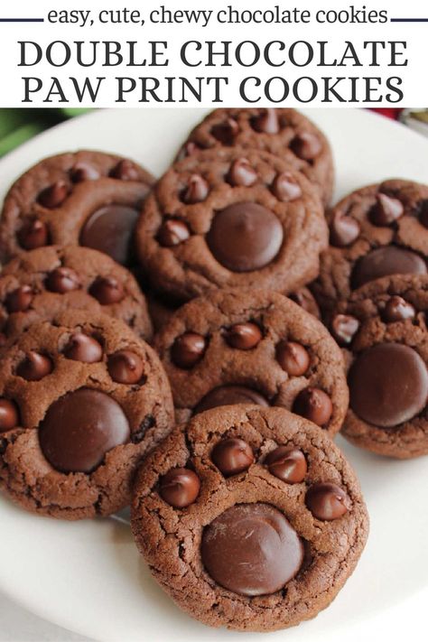 Double chocolate paw print cookies are as tasty as they are cute. They are built on a chewy chocolate blossom cookie with tasty chocolate paws on top. They are cute for Christmas, for pet lovers, as team mascot cookies, and more! Paw Shaped Cookies, Dog Paw Cookies, Dog Decorated Cookies, Animal Shaped Cookies, Bear Paw Cookies, Animal Desserts, Paw Print Cookies, Animal Baking, Birthday Dogs