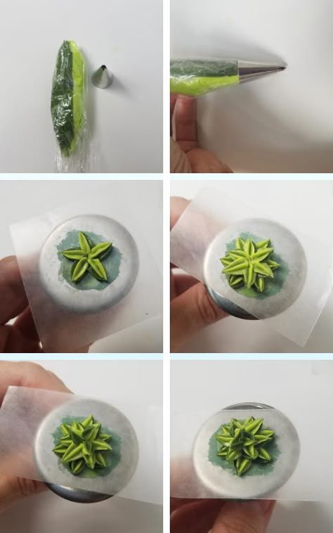 Succulent Royal Icing Transfers, Succulent Icing Tips, Piping Tips For Succulents, Succulent Cookie Cake, Succulent Cake Ideas Easy, Royal Icing Succulents, Succulent Cookies Royal Icing, How To Make Succulent Cupcakes, Buttercream Succulents Tutorial