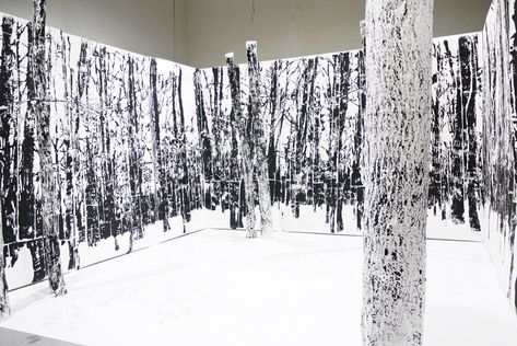 20-Year Old Forest, frottage print and woodcut installation — Gábor Koós Forest Installation, Old Forest, Art Printmaking, Interactive Installation, Prague Czech Republic, Prague Czech, Sculpture Installation, Paper Artist, Science Art