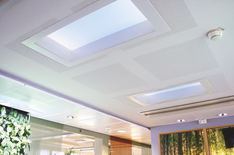 Artificial Skylight, Flat Roof Skylights, Roof Skylight, Light Panels, General Lighting, Recessed Ceiling, Ceiling Rose, Flat Roof, Studio Apartment