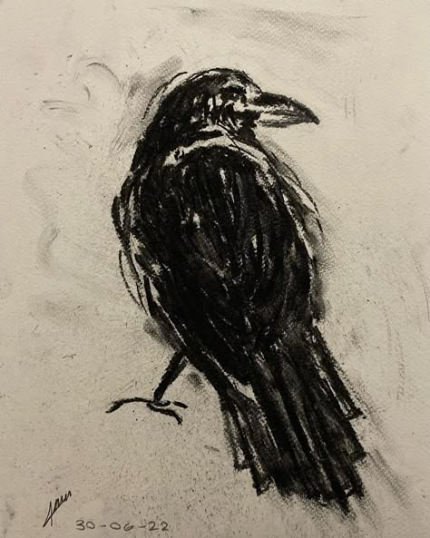 Drawing Reference Photos Easy, Black Crow Drawing, Crow Charcoal Drawing, Charcoal Artwork Landscape, White Colored Pencil Drawings On Black Paper, Charcoal Object Drawing, Charcoal Drawing Inspiration, Crow Pencil Drawing, Charcoal Reference Photo