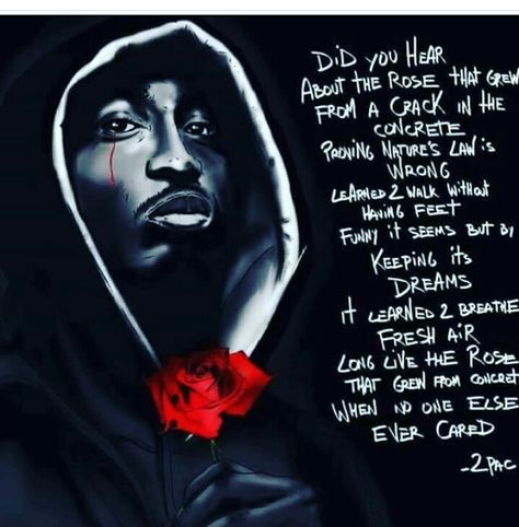 The Rose that Grew from Concrete Rose In Concrete, Concrete Poem, Black Love Artwork, Concrete Rose, Tupac Quotes, Quotes Music, Imagination Station, Rapper Quotes, Good Music Quotes