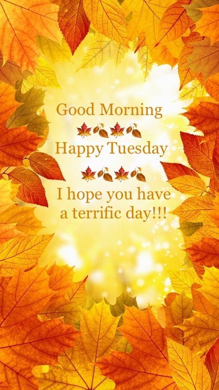 Happy Tuesday Pictures, Happy Tuesday Images, Great Day Quotes, Happy Tuesday Morning, Tuesday Quotes Good Morning, Tuesday Greetings, Happy Tuesday Quotes, Good Morning Tuesday, Tuesday Quotes