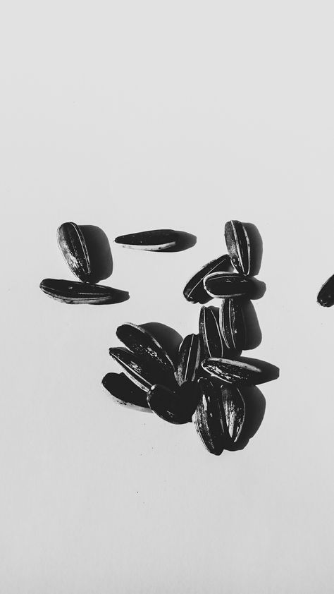 #aesthetic #sunflower #sunflowerseed #black&white Sunflower Seeds Aesthetic, Seeds Aesthetic, Aesthetic Sunflower, Decoration Aesthetic, Sunflower Seeds, Sunflower, Seeds, Black White, White