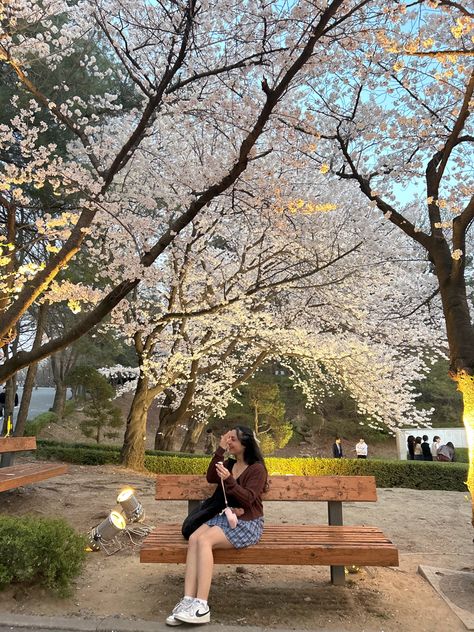 Sakura Outfits Cherry Blossoms, Study Abroad Aesthetic Korea, Cherry Blossom Instagram Photos, Spring In Japan Outfit, Cherry Blossom Outfit Ideas, Korea Beautiful Places, Spring In Korea, Cherry Blossom Outfit, Spring Outfits Japan