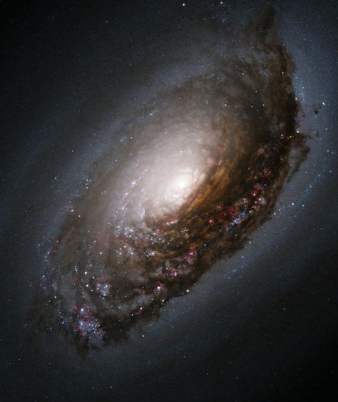 Black Eye Galaxy, Eye Galaxy, Tata Surya, Hubble Images, Hubble Telescope, Galaxy Poster, Orion Nebula, Spiral Galaxy, Black Holes