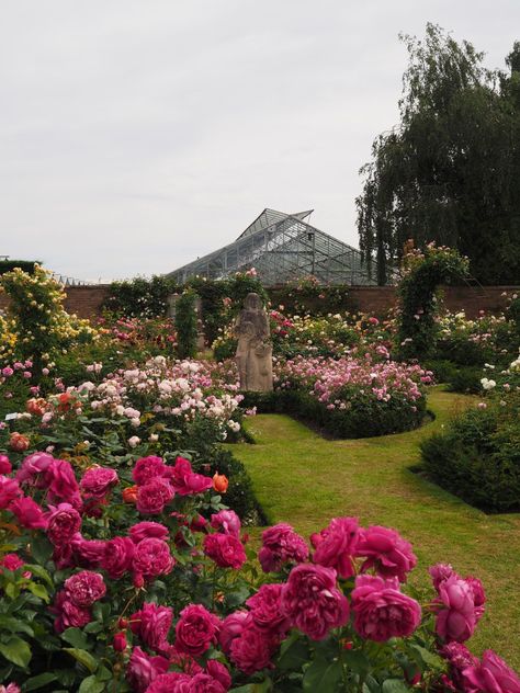 England Travel Inspiration - David Austin Rose Garden: English Rose Perfume Perfection. Looking for gardening inspiration then why not click on the photo to see various landscape ideas and beautiful flowers for your garden. #davidaustinroses #roses #beautifuldestinations #gardening #england #shropshire #80pairsofshoes Roses Garden Care, Rose Garden Landscape, Landscaping With Roses, David Austin Rose, Rose Garden Design, Landscape Gardening, Austin Rose, Gardening Inspiration, Rose Perfume