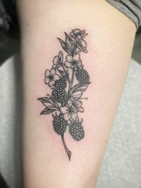 Blackberries Tattoo, Raspberry Tattoo, Blackberry Tattoo, Sorry Mom Tattoo, Cowgirl Tattoos, Branch Tattoo, Vine Tattoos, Raspberry Fruit, Botanical Tattoo