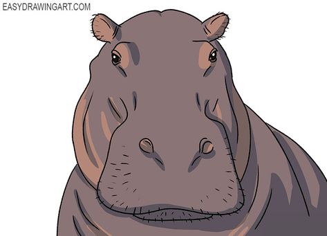 Hippopotamus Drawing, Eye Drawing Realistic, Face Drawing Step By Step, Hippo Face, Face Drawing Easy, Hippo Drawing, Face Step By Step, Simple Face Drawing, Drawing Realistic