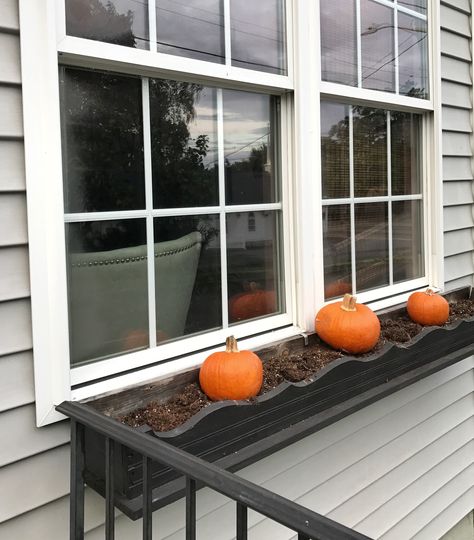 Window Boxes Fall Autumn, Call Window Boxes, Diy Fall Window Boxes, Windowbox Planter Ideas Fall, Fall Decor Window Sill, Window Flower Boxes Fall, Halloween Flower Box Ideas, Mum Window Boxes, Fall Planter Boxes Ideas