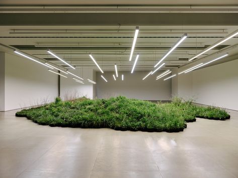 Milan Design Week: the 7 best fashion installations - The Spaces Urban Flora, Fashion Installation, Artist Collaboration, Plant Installation, Jil Sanders, Easter 2023, What Is An Artist, Wild Grass, Milan Design Week