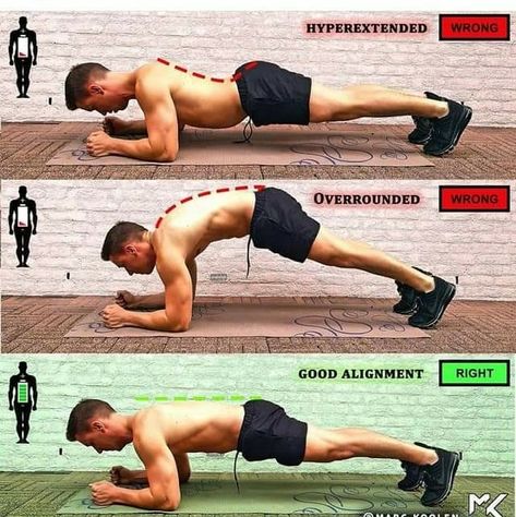 Perfect form and technique of Plank. #plank Plank Form, King Warrior, Plank Workout, Weight Los, Bulk Up, Fitness Gym Workout, Workout Tips, Leg Day, Yoga Gym