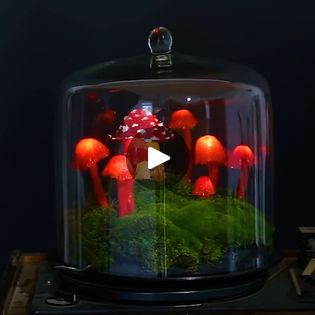 Mushroom Lights Diy, Craft Houses, Fairy Garden Mushrooms, Diy Fairy Garden, Lights Diy, Garden Mushrooms, Mushroom Lights, Creative Mom, Diy Fairy