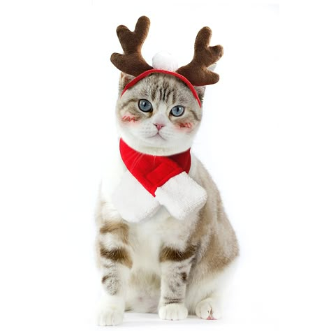 Enjoying Small Pet Costume Cat Dog Christmas Outfit, Xmas Antler Headband with Scarf, Santa Suits, Cat Sailor Costume, Christ Dog Christmas Outfit, Cat Christmas Costumes, Small Dog Costumes, Pet Costumes Cat, Xmas Costumes, Christmas Dog Outfits, Sailor Costume, Reindeer Hat, Merry Christmas Dog