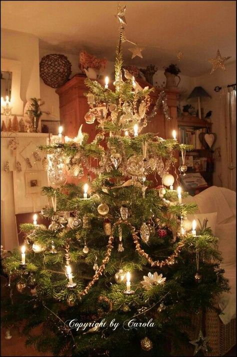 Victorian Tree Christmas Boyfriend, Old Fashion Christmas Tree, Boyfriend Ideas, Beautiful Christmas Trees, Old Fashioned Christmas, Christmas Tree With Gifts, Christmas Past, Primitive Christmas, Victorian Christmas