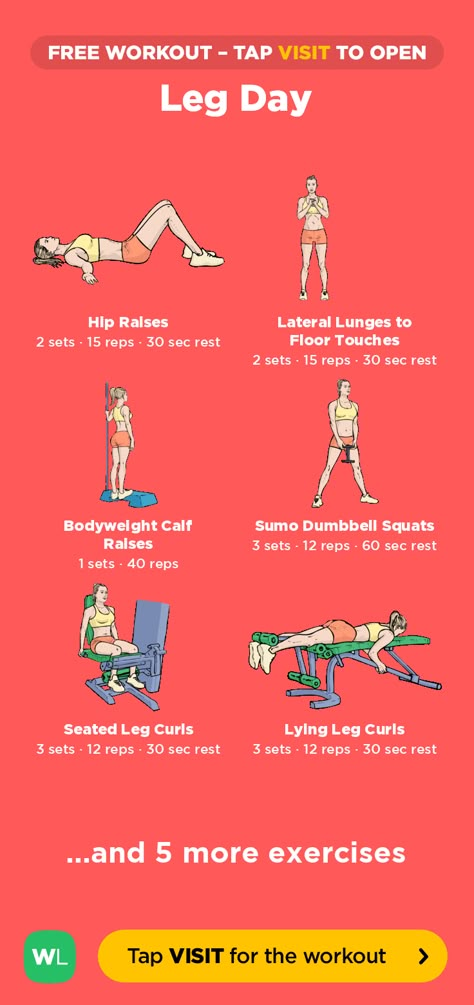 NA Workout Leg Day, Workoutlabs Fit, Legs Exercise, Gym Routines, Seated Leg Curl, Best Gym Equipment, Leg Day Workout, Leg Routine, Leg Workouts Gym