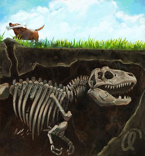 Dog Digging, Arte Dachshund, Skeleton Wallpaper, 2k Wallpaper, Dinosaur Wallpaper, Animal Categories, Dachshund Art, Dinosaur Skeleton, Bone Art