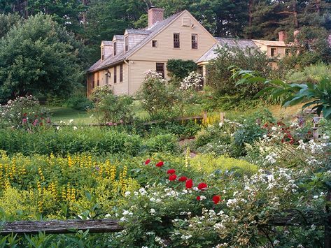 Embracing an "ungardening" philosophy need not mean that your entire backyard runs free. Instead, set aside sections of your garden and let them grow (mostly) unaided. Image: Alamy Biodiverse Lawn Aesthetic, Biodiversity Yard, Biodiverse Backyard, Biodiverse Yard, Biodiverse Lawn, Meadow Landscaping, Australian Countryside, Vermont Cabin, Natural Lawn