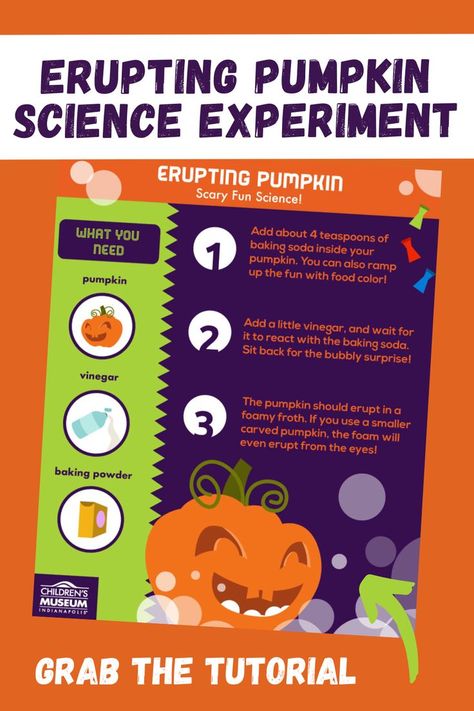 There's nothing better than making something explode and this erupting pumpkin experiment is perfect for a Halloween science lesson. Save your jack o'lantern for some fun and watch your pumpkin "vomit" out some bubbles. Halloween First Grade, Home Science Experiments For Kids, Pumpkin Science Experiment, Homeschool Science Lessons, Activities For Kids Halloween, Silly Halloween, Halloween Fun For Kids, Homeschool Science Experiments, Home Science Experiments