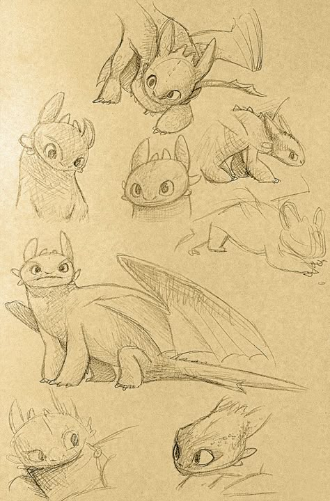 Toothless sketches by Atlantistel.deviantart.com on @deviantART  Love the curious look on toothless! Tootles Dragon Drawing, Toothless Sketch, Dragon Sketches, Toothless Drawing, Dragon Anatomy, Me And Who, Httyd Art, Toothless Dragon, Dragon Sketch