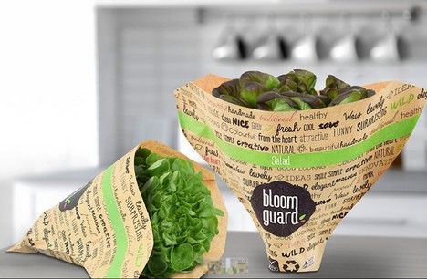 "We want to supply a natural packaging for lettuces from renewable resources" Lettuce Packaging Ideas, Vegetable Packaging Ideas, Lettuce Packaging, Vegetables Packaging, Fresh Produce Packaging, Environmental Packaging, Salad Packaging, Natural Packaging, Juice Bar Design