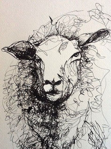 Sheep Paintings, Couple Drawing, Wilson Art, Sheep Art, Scribble Art, Art Pen, A Sheep, Art Pens, Drawing Tutorials