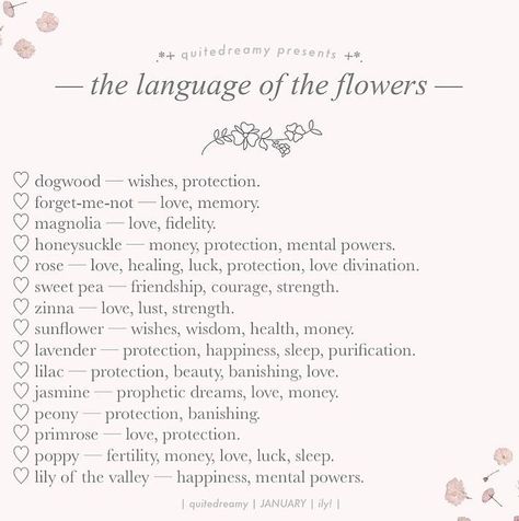 nature flowers soft aesthetic coquette pink Poem Names Ideas, Soft French Words, Pretty Words That Mean Love, Feminine Words English, Pretty Usernames Ideas, Poem Book Name Ideas, Love Names In Different Languages, Poetry Username Ideas, Unique Words In Spanish