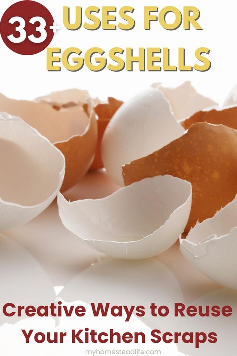 33 Uses For Eggshells: Creative Ways to Reuse Your Kitchen Scraps - My Homestead Life Napkin Art, Seed Starters, Growing Crystals, Kitchen Scraps, Homestead Life, Flame Test, Acid Base, Seed Starter, Natural Fertilizer