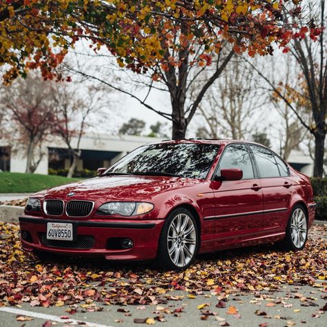 Bmw E46 330, E46 Modified, E46 Build, E46 Wide Body Kit, Bmw E46 Sedan Modified, E46 330i, Bmw 330i, Bmw E46 Sedan, Bmw E46 M3 Stance